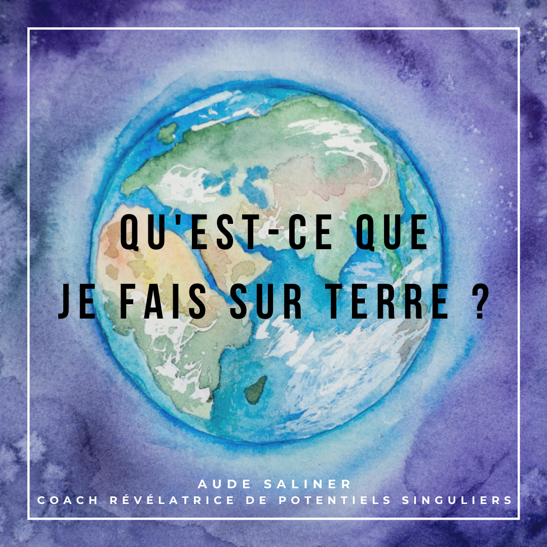 Qu'est-ce Que Je Fais Sur Terre ? | Aude Saliner